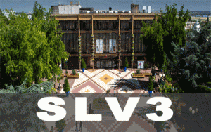 SLV3